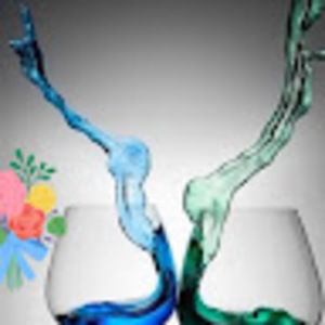 Meet your Posher, Mirtha